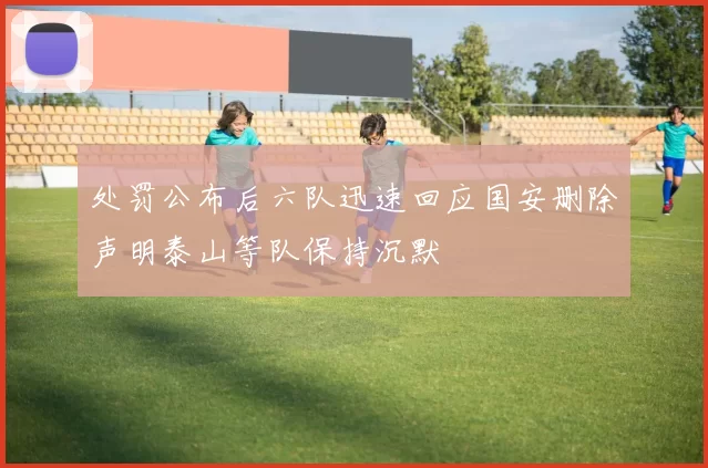 处罚公布后六队迅速回应国安删除声明泰山等队保持沉默