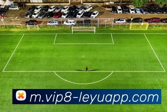 乐鱼体育服务体系